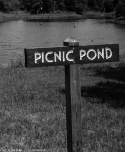 Hagerman National Wildlife Refuge Picnic Pond