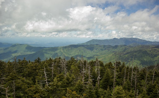 The Smoky Mountains Part 1 – Video Clingmans Dome