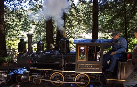 Video: Ride On Miniature Steam Train At The Redwood Valley Railroad