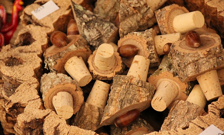 Video: Where does cork come from? Cork in Portugal