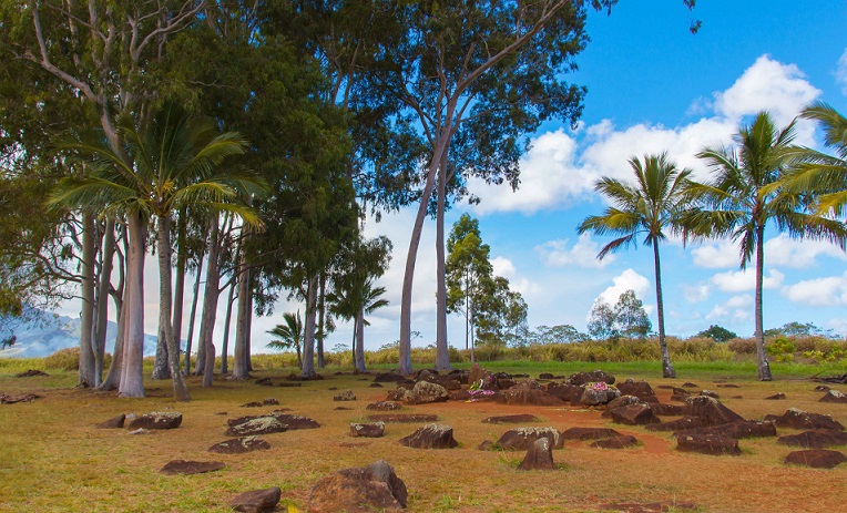 Video: The Kukaniloko Birthing Stones Island of Oahu Hawaii