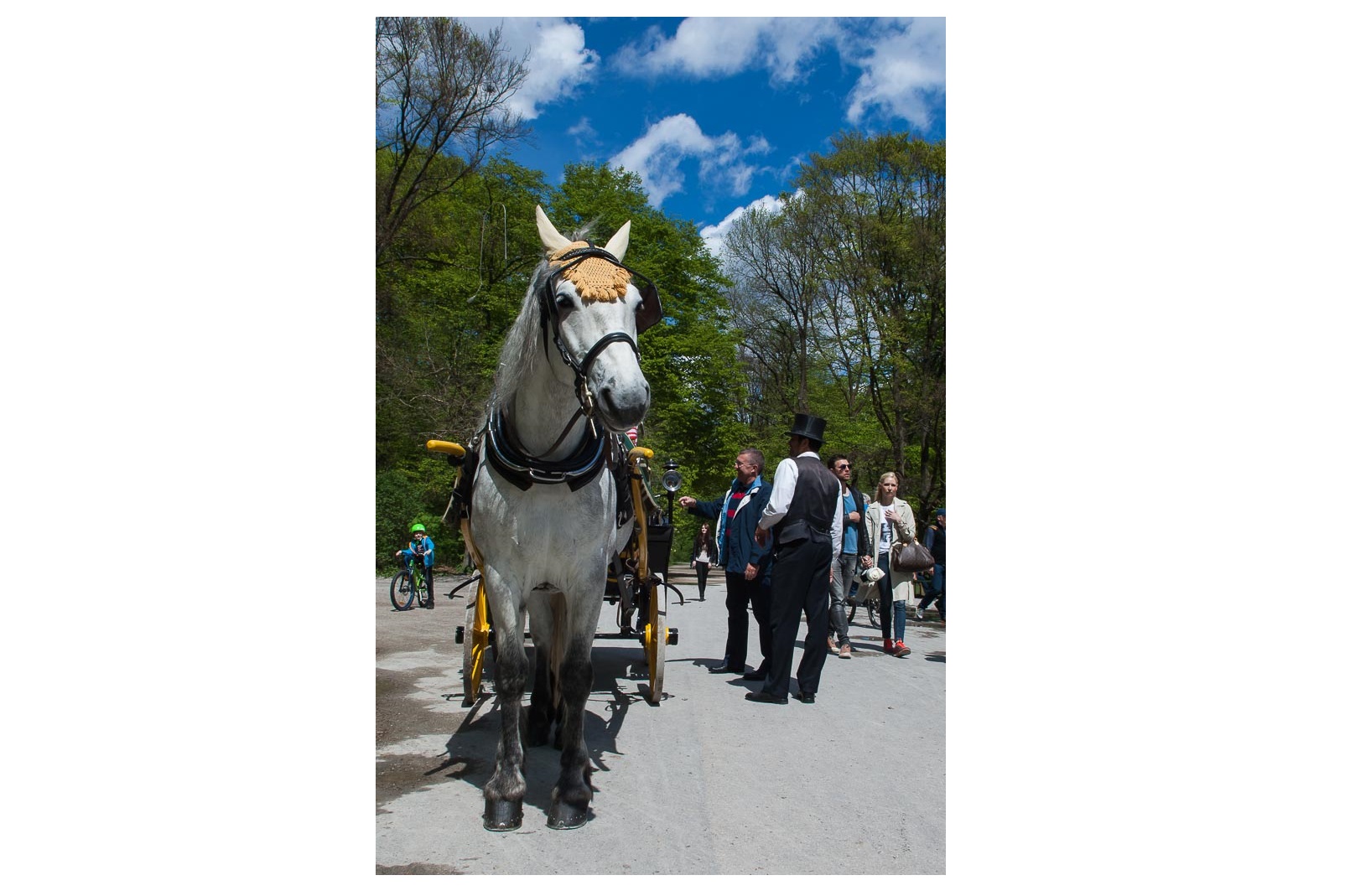 Photo Of The Week – Horse at Englischer Garten in Munich in Bavaria Germany