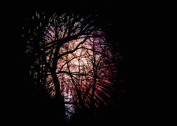 Fireworks Central Park New Year