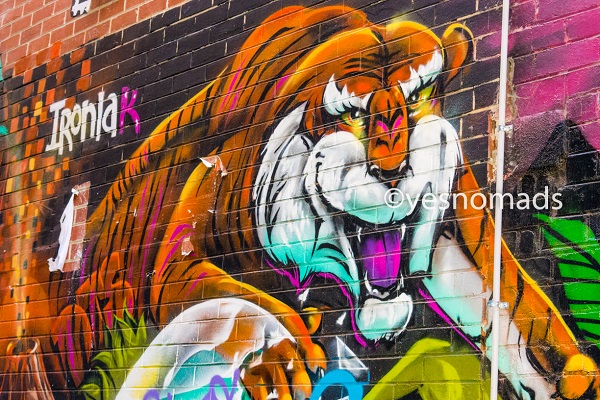 Tiger Street Art Laneways in Melbourne in Australia