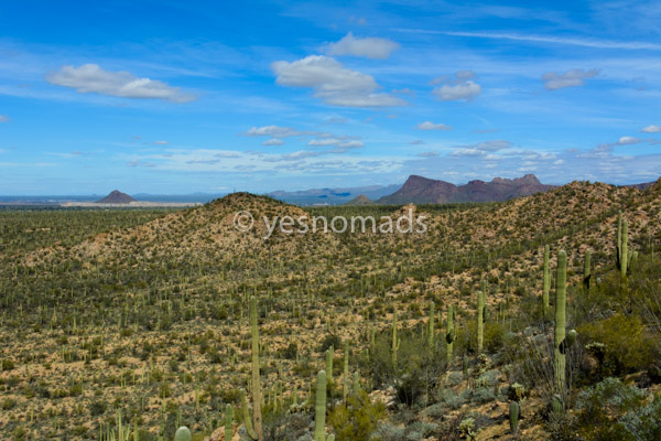 Photo Of The Week – Saguaro National Park in Tucson Arizona