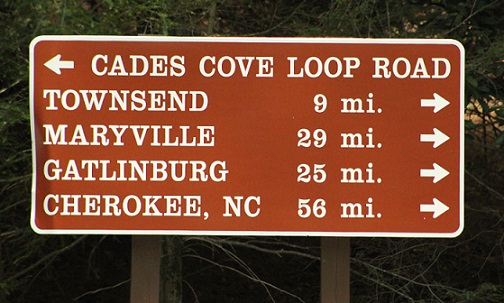 Article: Avoiding Cades Cove Loop Road – What A Nightmare?!