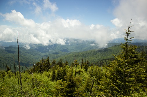The Smoky Mountains Part 1 – Article Clingmans Dome